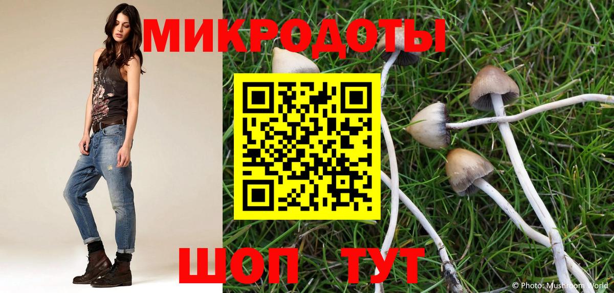 Можайск  Псилоцибиновые грибы Psilocybe  Вход с VPN 